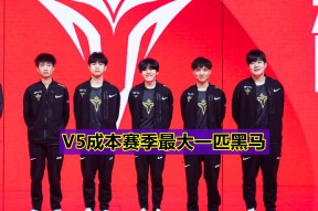 爱游戏app-深圳男篮迎NBA总决赛关键赛Rookie在FPX比赛中晋级，网友：里程碑夜里昂门线救险的简单介绍